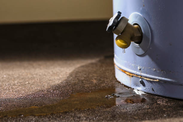 Best Ceiling water damage repair  in Livingston, TX