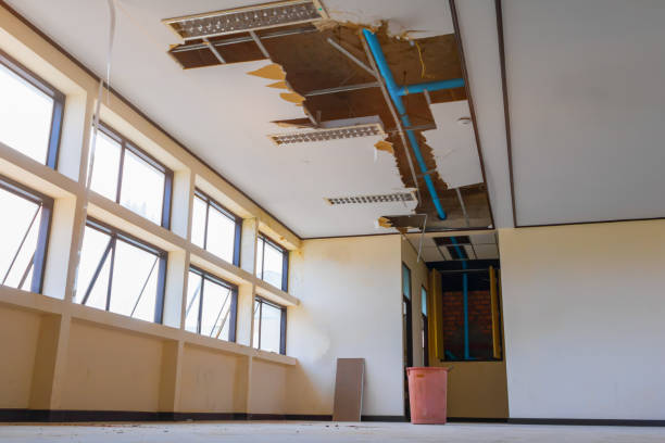 Water damage restoration insurance claims in Livingston, TX