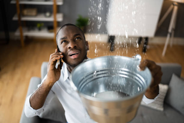 Best Water damage restoration company  in Livingston, TX