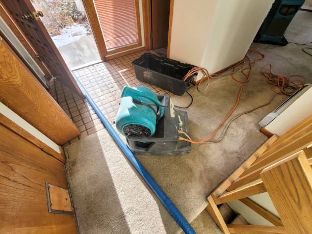 Water damage restoration mold remediation in Livingston, TX