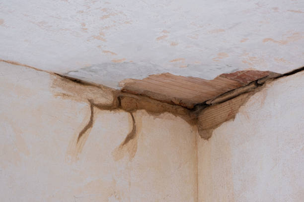Best Emergency water damage restoration  in Livingston, TX