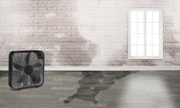 Professional Water damage restoration in Livingston, TX