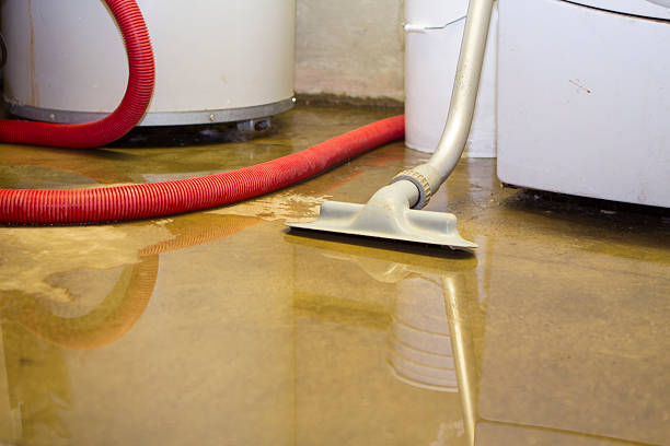Best Commercial water damage restoration  in Livingston, TX