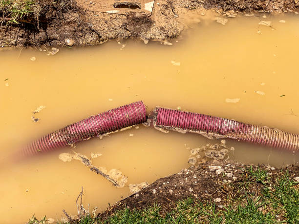 Trusted Livingston, TX Water damage restoration Experts