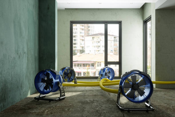 Water damage restoration mold remediation in Livingston, TX